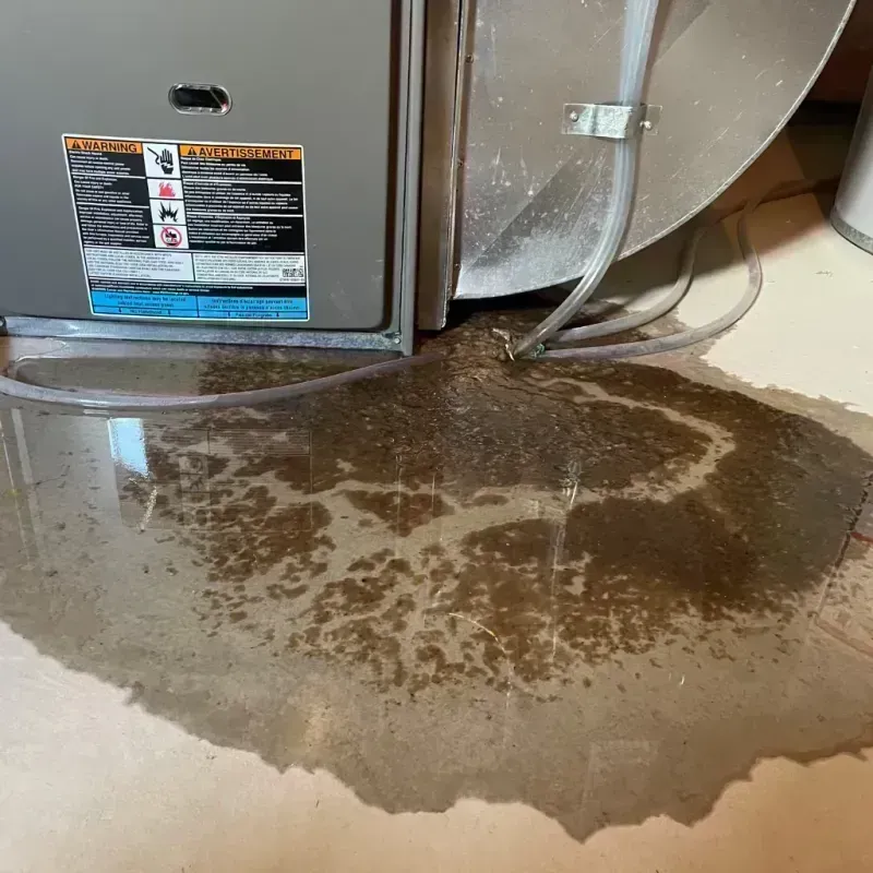 Appliance Leak Cleanup in Union, MO